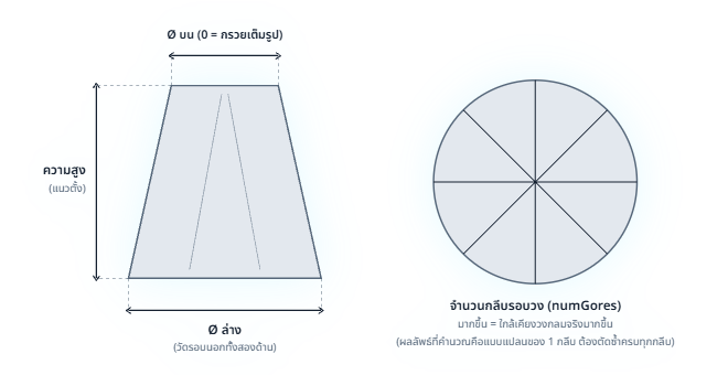 แผนภาพตำแหน่งที่ต้องวัดของกรวยแบ่งกลีบ: ปากล่าง ปากบน ความสูง และจำนวนกลีบรอบวง